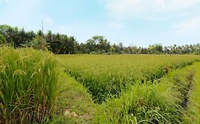 Thantha Ubud Villa